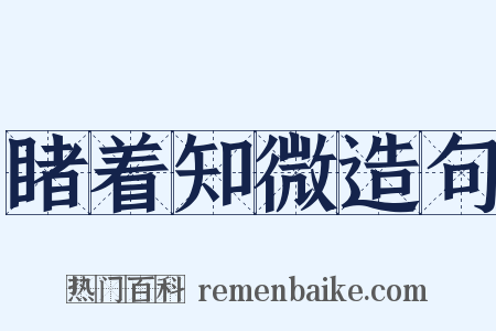 睹着知微造句是什么意思的图片